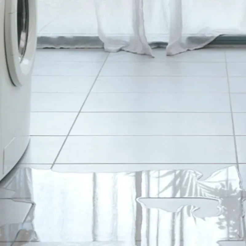 Appliance Leak Cleanup in Forest Meadows, CA