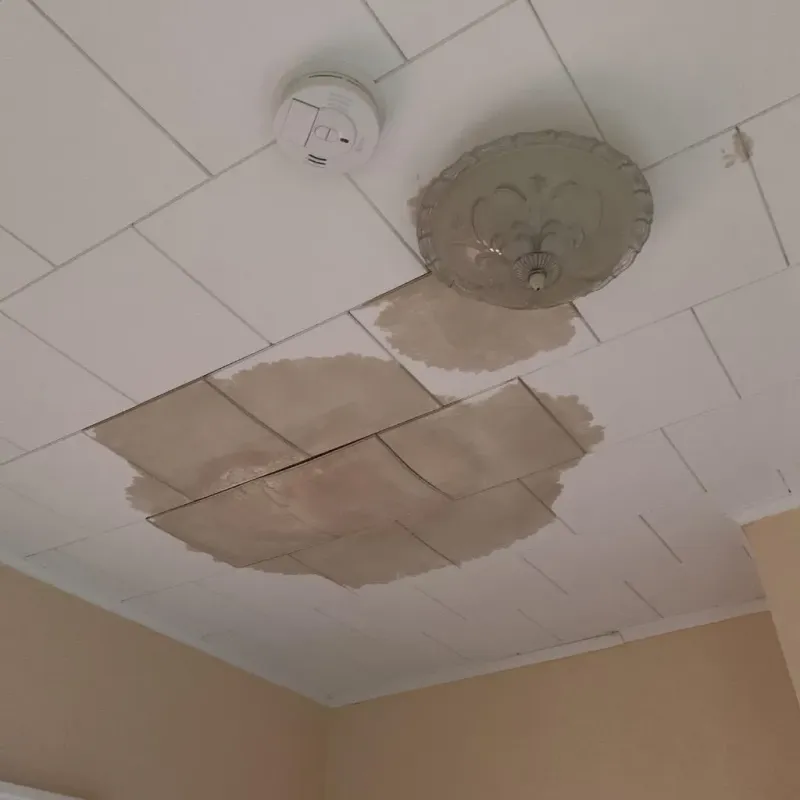 Ceiling Water Damage Repair in Forest Meadows, CA
