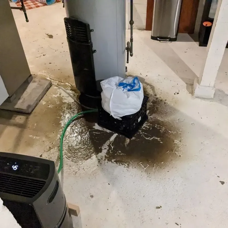 Sewage Backup Cleanup Service in Forest Meadows, CA